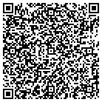 QR-код с контактной информацией организации ШВЕДКИН А. Г., ЧП