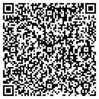 QR-код с контактной информацией организации РОССИЯ, ТОО