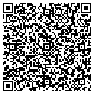 QR-код с контактной информацией организации БАМБИНО, ИП