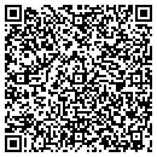 QR-код с контактной информацией организации НИИХП, ООО