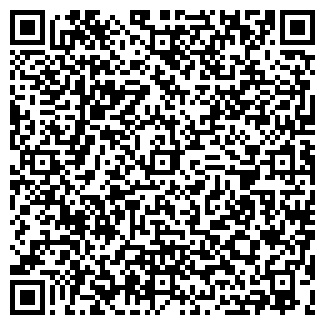 QR-код с контактной информацией организации СИБИН, ООО