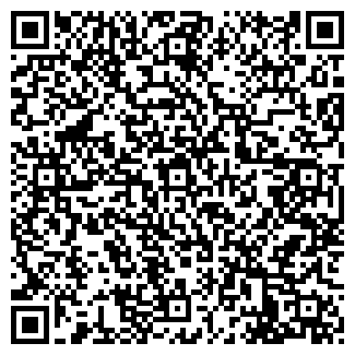 QR-код с контактной информацией организации БЛИЦ