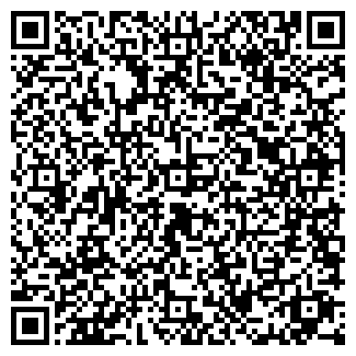 QR-код с контактной информацией организации БЛИЦ