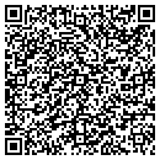 QR-код с контактной информацией организации СИБИРЬТЕЛЕКОМ