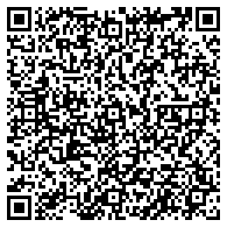 QR-код с контактной информацией организации СИБИРЬТЕЛЕКОМ