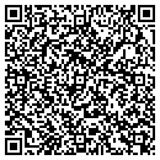 QR-код с контактной информацией организации СИБИРЬТЕЛЕКОМ