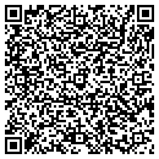 QR-код с контактной информацией организации АЛЮКО-СЕРВИС