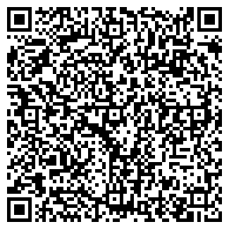 QR-код с контактной информацией организации АЛТАЙ ДОМ