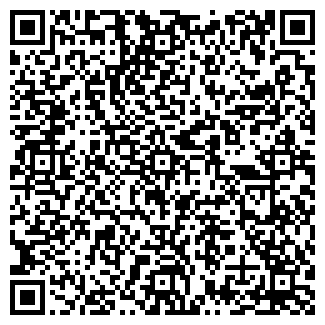 QR-код с контактной информацией организации № 343