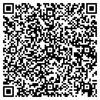 QR-код с контактной информацией организации ООО РАЙС