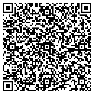 QR-код с контактной информацией организации ИВЛЕВ П. В.