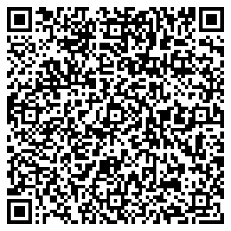 QR-код с контактной информацией организации ВСЕ ИГРЫ