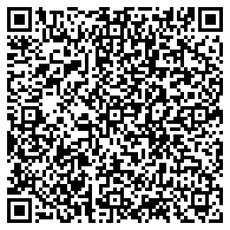 QR-код с контактной информацией организации ВИПП ТЕХНОЛОГИИ