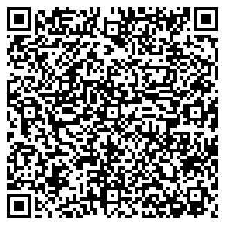 QR-код с контактной информацией организации ФЕЙЕРВЕРКИ