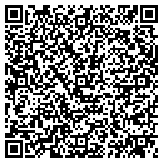 QR-код с контактной информацией организации ЛВИМ ООО