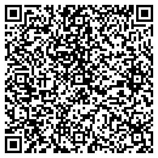 QR-код с контактной информацией организации БОРКИ, ТОО