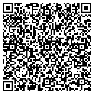 QR-код с контактной информацией организации СИБФИН ФИРМА