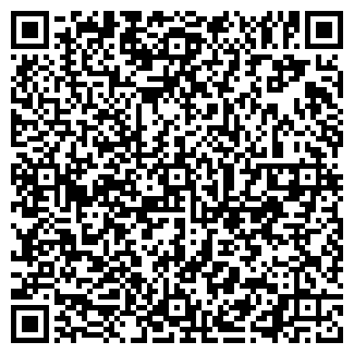 QR-код с контактной информацией организации ТЕЛЕСЕРВИС