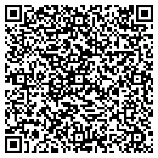 QR-код с контактной информацией организации КИСЕЛЕВ В.В.