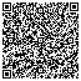 QR-код с контактной информацией организации ИП ВАСЯНИНА