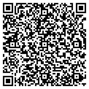 QR-код с контактной информацией организации «Пирамида»