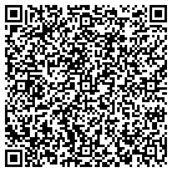 QR-код с контактной информацией организации БОРИСОВСКАЯ ДСПМК ФИРМА