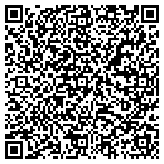 QR-код с контактной информацией организации МИТРОШКИН, ЧП