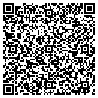 QR-код с контактной информацией организации ООО ВИКИНГ-398