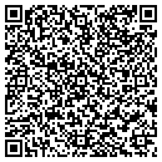 QR-код с контактной информацией организации ИП НИКОЛАЕВ В.Ф.