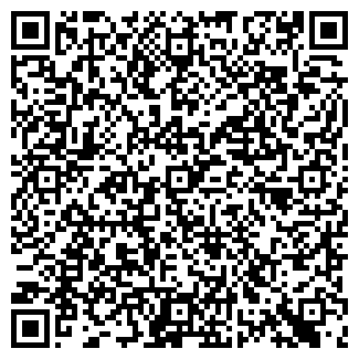 QR-код с контактной информацией организации ООО СНЕЖИНКА