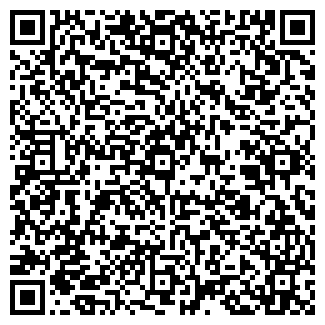 QR-код с контактной информацией организации VISION