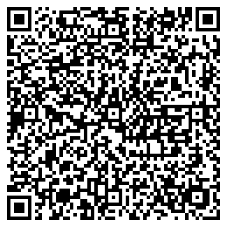 QR-код с контактной информацией организации № 2 ВИТЕБСКИЕ КОВРЫ, ОАО