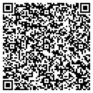 QR-код с контактной информацией организации ООО ДОМИНО