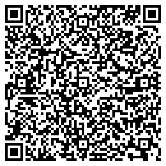 QR-код с контактной информацией организации Тамбовский филиал ПАО «ВымпелКом» «Билайн»