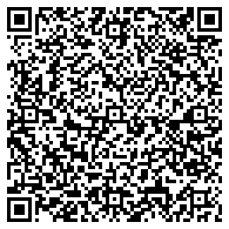 QR-код с контактной информацией организации ДИКСИ 4, МАГАЗИН