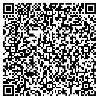 QR-код с контактной информацией организации ДИКСИ, МАГАЗИН