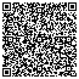 QR-код с контактной информацией организации ИП Шуйские носки