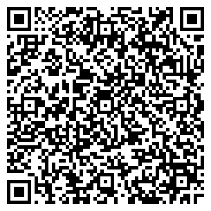 QR-код с контактной информацией организации DIVO