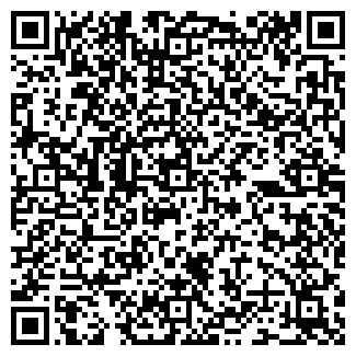 QR-код с контактной информацией организации КОЛОР