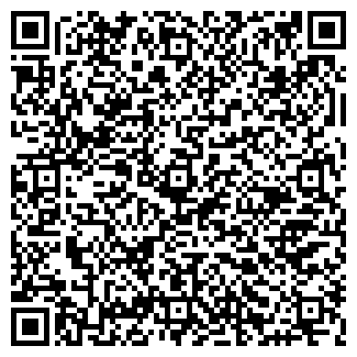 QR-код с контактной информацией организации Субъект предпринимательской деятельности MixaART
