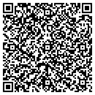 QR-код с контактной информацией организации Субъект предпринимательской деятельности ДомМастер