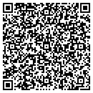 QR-код с контактной информацией организации Частное предприятие ИП "NTN"
