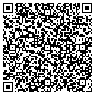QR-код с контактной информацией организации ИП Никитин С. Н.