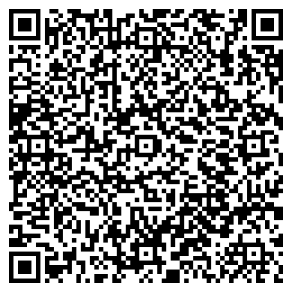 QR-код с контактной информацией организации ИП Страшков