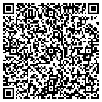 QR-код с контактной информацией организации Частное предприятие ЧП Киселев