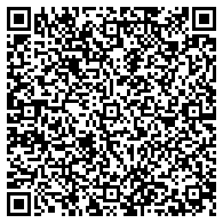 QR-код с контактной информацией организации ип Иванов