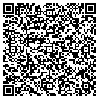 QR-код с контактной информацией организации Субъект предпринимательской деятельности ИП Пушнов