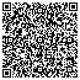 QR-код с контактной информацией организации Общество с ограниченной ответственностью ДСТ-Запчасть