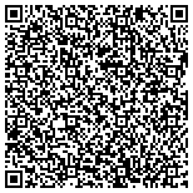 QR-код с контактной информацией организации Субъект предпринимательской деятельности Савельев Дмитрий Валерьевич ФЛ-П