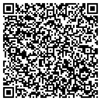 QR-код с контактной информацией организации Субъект предпринимательской деятельности MS tuning
